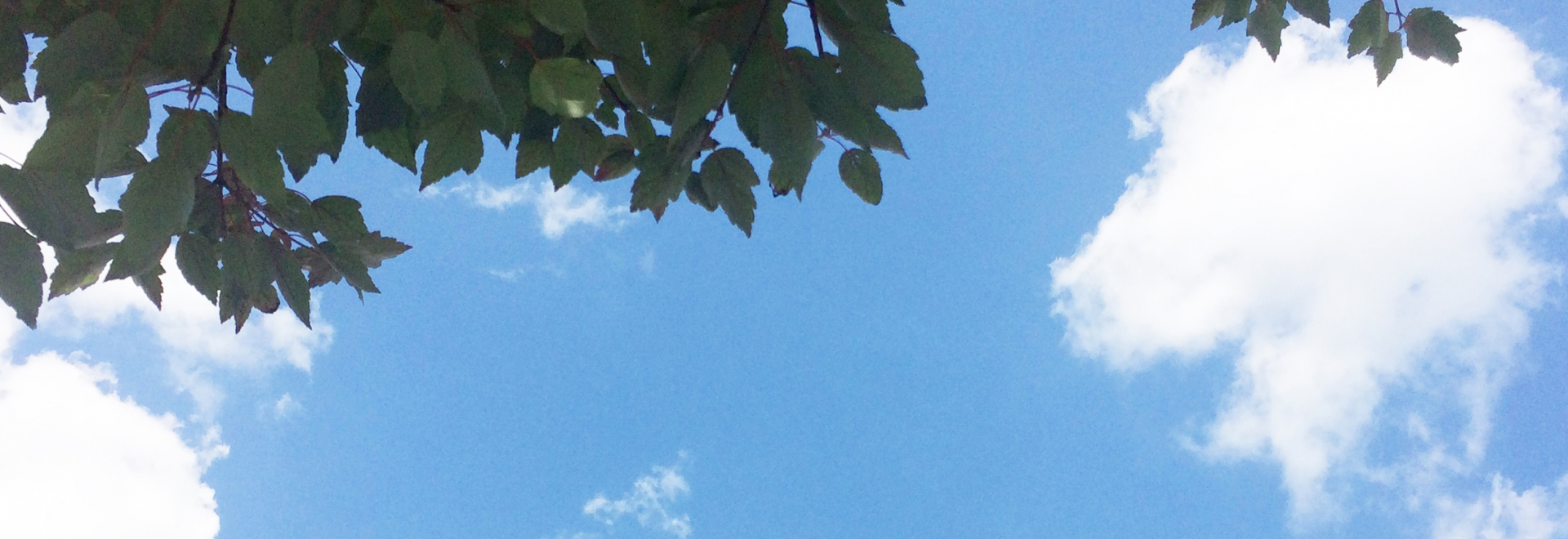 再生イメージ写真